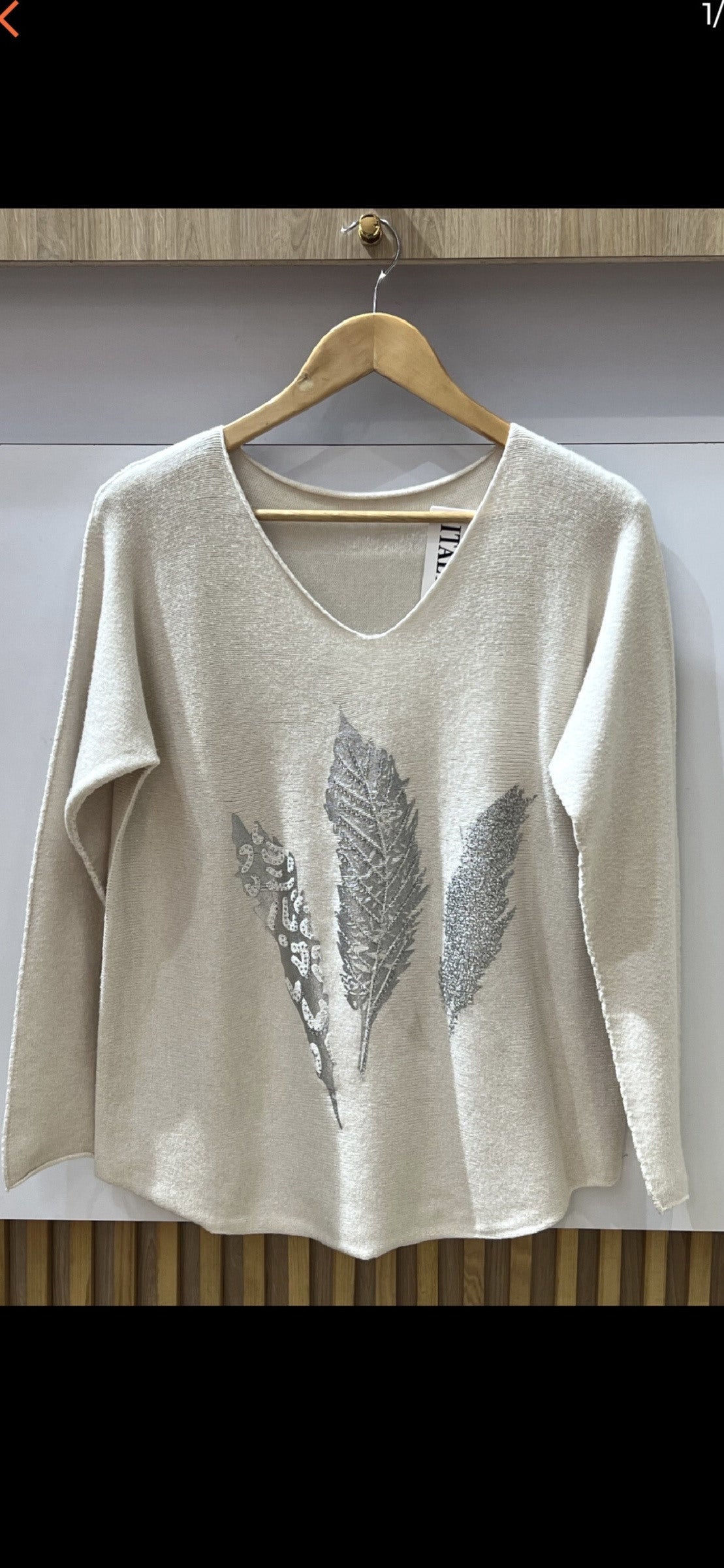 Pull Imprimé Plumes